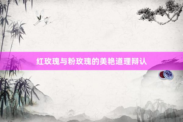 红玫瑰与粉玫瑰的美艳道理辩认