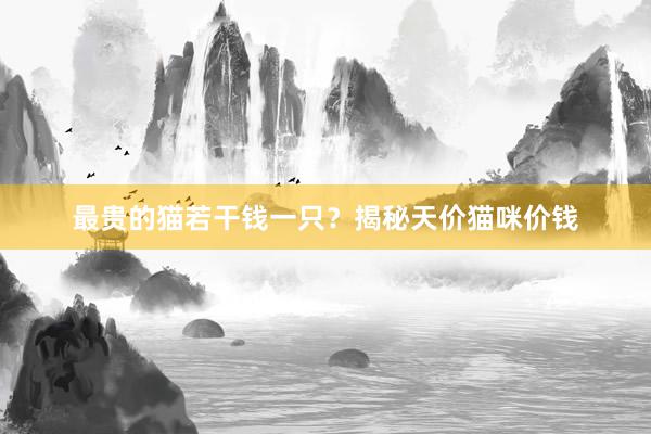 最贵的猫若干钱一只？揭秘天价猫咪价钱